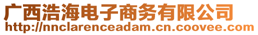 廣西浩海電子商務(wù)有限公司