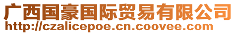 廣西國(guó)豪國(guó)際貿(mào)易有限公司