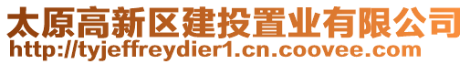 太原高新區(qū)建投置業(yè)有限公司