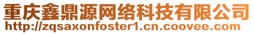 重慶鑫鼎源網(wǎng)絡(luò)科技有限公司