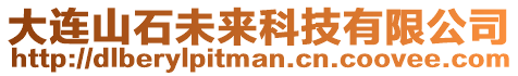 大連山石未來科技有限公司