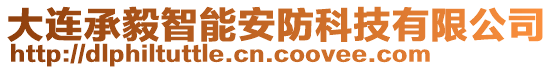 大連承毅智能安防科技有限公司