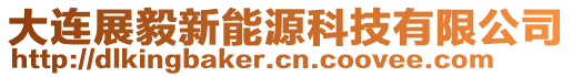 大連展毅新能源科技有限公司