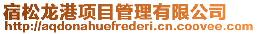 宿松龍港項目管理有限公司