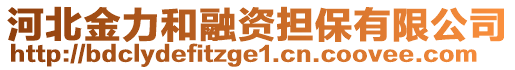 河北金力和融資擔(dān)保有限公司