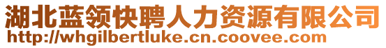 湖北藍領快聘人力資源有限公司