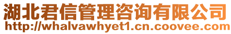 湖北君信管理咨詢有限公司