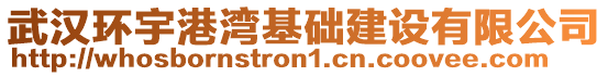 武漢環宇港灣基礎建設有限公司