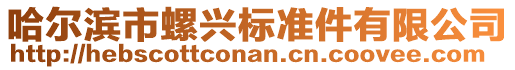 哈爾濱市螺興標(biāo)準(zhǔn)件有限公司