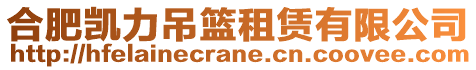 合肥凱力吊籃租賃有限公司