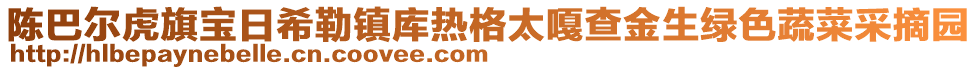陳巴爾虎旗寶日希勒鎮(zhèn)庫熱格太嘎查金生綠色蔬菜采摘園