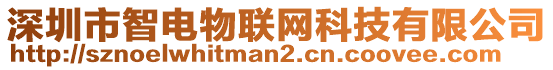 深圳市智電物聯網科技有限公司