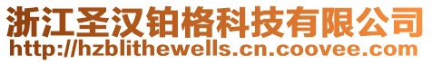 浙江圣漢鉑格科技有限公司