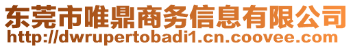 東莞市唯鼎商務(wù)信息有限公司
