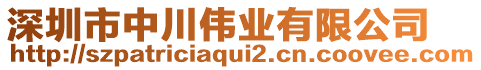 深圳市中川偉業(yè)有限公司