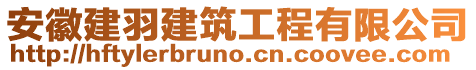 安徽建羽建筑工程有限公司