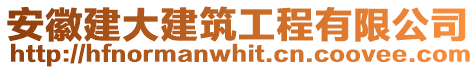 安徽建大建筑工程有限公司