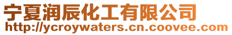 寧夏潤辰化工有限公司
