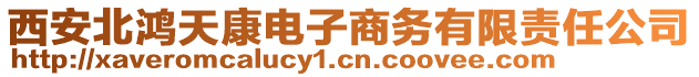 西安北鴻天康電子商務有限責任公司