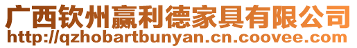 廣西欽州贏利德家具有限公司