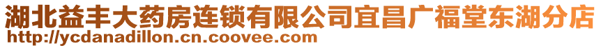 湖北益豐大藥房連鎖有限公司宜昌廣福堂東湖分店