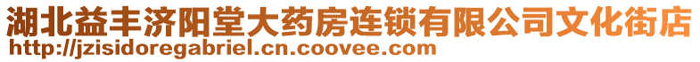 湖北益豐濟陽堂大藥房連鎖有限公司文化街店