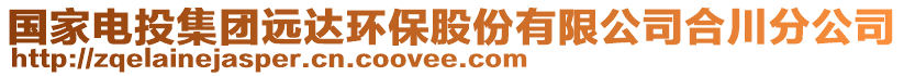 國(guó)家電投集團(tuán)遠(yuǎn)達(dá)環(huán)保股份有限公司合川分公司