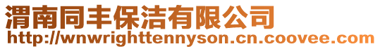 渭南同豐保潔有限公司