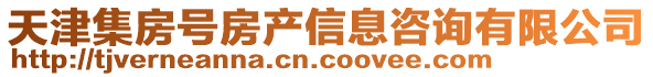 天津集房號房產信息咨詢有限公司