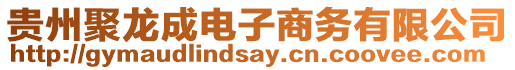 貴州聚龍成電子商務有限公司
