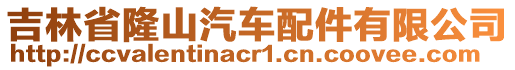 吉林省隆山汽車配件有限公司