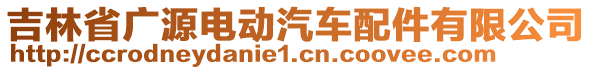 吉林省廣源電動汽車配件有限公司