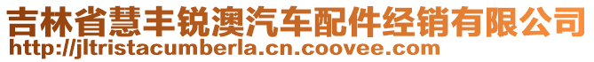 吉林省慧豐銳澳汽車配件經(jīng)銷有限公司