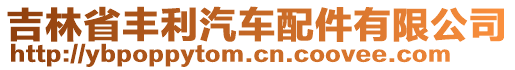 吉林省豐利汽車配件有限公司