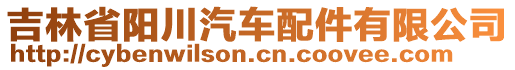 吉林省陽川汽車配件有限公司