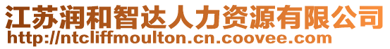 江蘇潤和智達人力資源有限公司