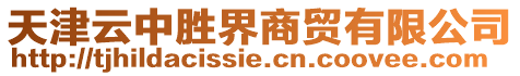 天津云中勝界商貿(mào)有限公司