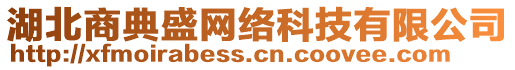 湖北商典盛網(wǎng)絡(luò)科技有限公司