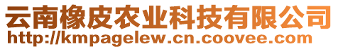 云南橡皮農(nóng)業(yè)科技有限公司