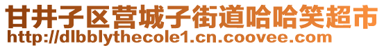 甘井子區營城子街道哈哈笑超市