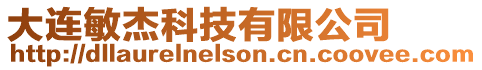 大連敏杰科技有限公司