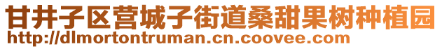 甘井子区营城子街道桑甜果树种植园