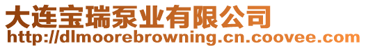 大連寶瑞泵業(yè)有限公司