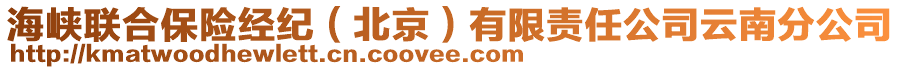 海峽聯(lián)合保險經(jīng)紀（北京）有限責任公司云南分公司