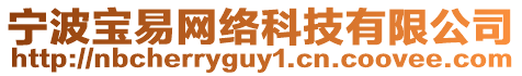 寧波寶易網(wǎng)絡(luò)科技有限公司