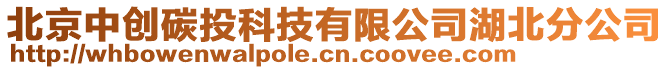 北京中創(chuàng)碳投科技有限公司湖北分公司