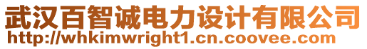 武漢百智誠電力設計有限公司