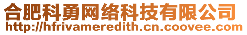 合肥科勇網絡科技有限公司
