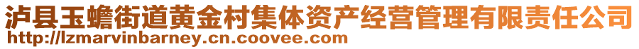 瀘縣玉蟾街道黃金村集體資產(chǎn)經(jīng)營管理有限責(zé)任公司