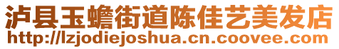瀘縣玉蟾街道陳佳藝美發(fā)店